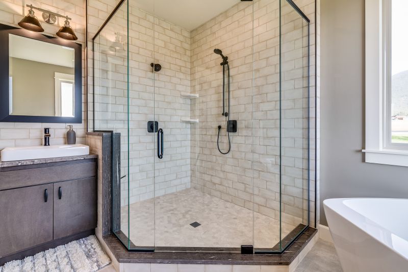 Glass Shower Door with Frameless Design